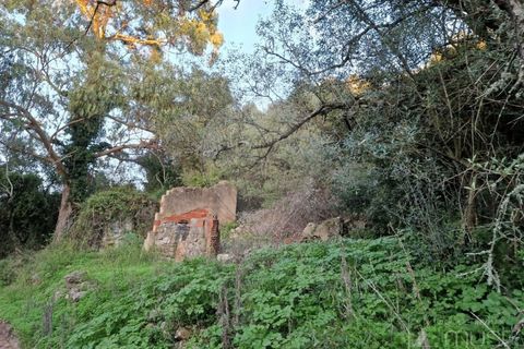 Helårsgrund i Sintra, Lisbon, Sintra - € 60.000 | Ref: 124151163-6 - foto 5