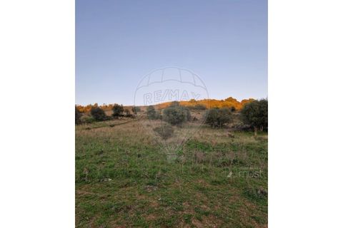 Helårsgrund i Sintra, Lisbon, Sintra - € 88.000 | Ref: 124151163-7 - foto 2