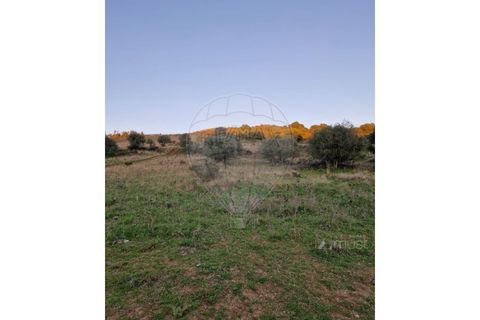 Helårsgrund i Sintra, Lisbon, Sintra - € 88.000 | Ref: 124151163-7 - foto 4