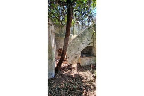 Villa a Arraiolos, Evora, Arraiolos - € 350.000 | Ref: 124151032-261 - foto 44