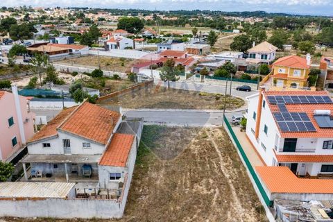 Terra a Quinta do Anjo, Setubal, Quinta do Anjo - € 78.000 | Ref: 122291144-71 - foto 2