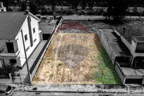 Terra a Quinta do Anjo, Setubal, Quinta do Anjo - € 78.000 | Ref: 122291144-71 - foto 4
