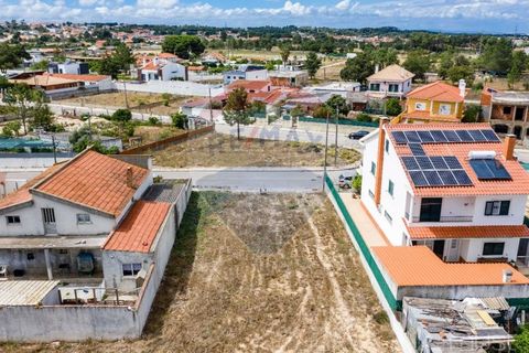 Terra a Quinta do Anjo, Setubal, Quinta do Anjo - € 78.000 | Ref: 122291144-71 - foto 11