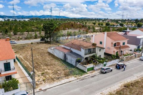 Terra a Quinta do Anjo, Setubal, Quinta do Anjo - € 78.000 | Ref: 122291144-71 - foto 12
