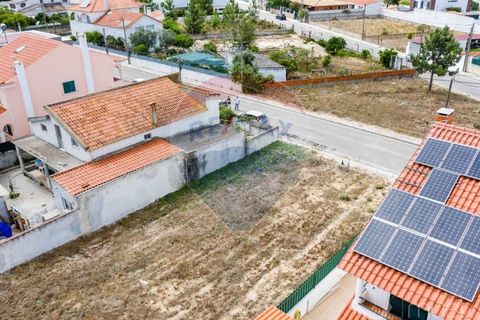Terra a Quinta do Anjo, Setubal, Quinta do Anjo - € 78.000 | Ref: 122291144-71 - foto 13