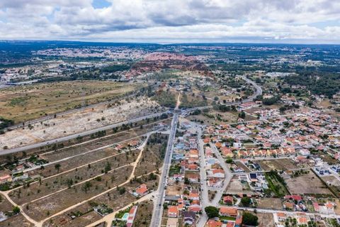 Terra a Quinta do Anjo, Setubal, Quinta do Anjo - € 78.000 | Ref: 122291144-71 - foto 17