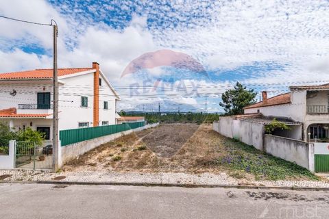 Terra a Quinta do Anjo, Setubal, Quinta do Anjo - € 78.000 | Ref: 122291144-71 - foto 22