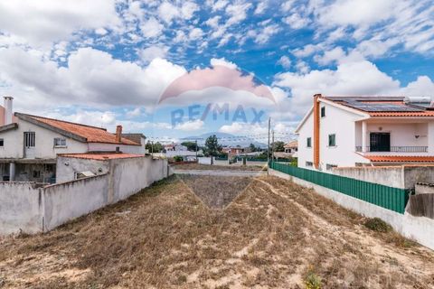 Terra a Quinta do Anjo, Setubal, Quinta do Anjo - € 78.000 | Ref: 122291144-71 - foto 24