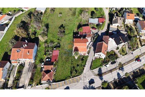 Helårsgrund i Pombal, Leiria, Pombal - € 150.000 | Ref: MTJL3024 - foto 3