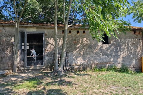 Byhus i Montecastrilli, Terni, Montecastrilli - € 100.000 | Ref: MONTECASTRILLI06-1 - foto 4