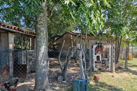 Byhus i Montecastrilli, Terni, Montecastrilli - € 100.000 | Ref: MONTECASTRILLI06-1 - foto 9