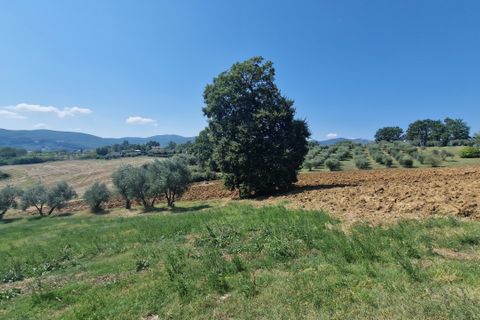 Byhus i Montecastrilli, Terni, Montecastrilli - € 100.000 | Ref: MONTECASTRILLI06-1 - foto 37