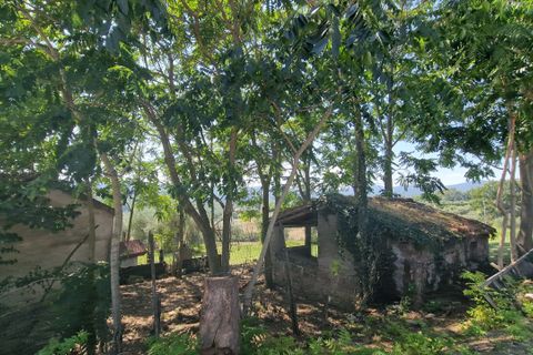 Byhus i Montecastrilli, Terni, Montecastrilli - € 100.000 | Ref: MONTECASTRILLI06-1 - foto 41