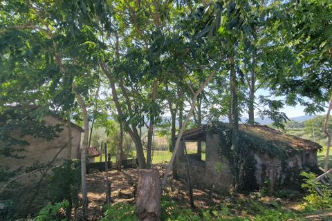 Byhus i Montecastrilli, Terni, Montecastrilli - € 100.000 | Ref: MONTECASTRILLI06-1 - foto 42
