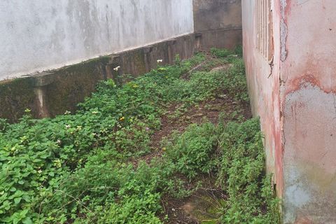 Villa i Cadaval, Lisbon, Cadaval - € 90.000 | Ref: 011-2024 - foto 4