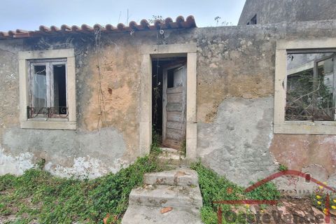 Villa i Cadaval, Lisbon, Cadaval - € 90.000 | Ref: 011-2024 - foto 7