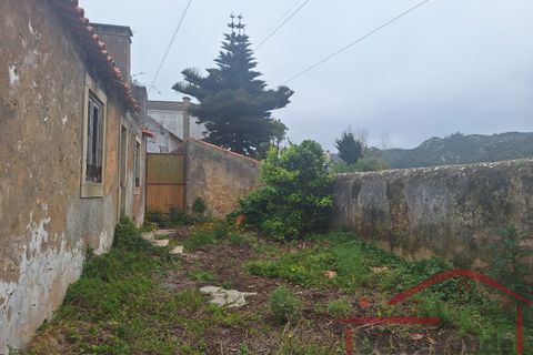 Villa i Cadaval, Lisbon, Cadaval - € 90.000 | Ref: 011-2024 - foto 11