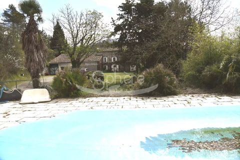 Landejendom i Peyrefitte-du-Razès, Aude, Peyrefitte-du-Razès - € 798.000 | Ref: 2259 - foto 2