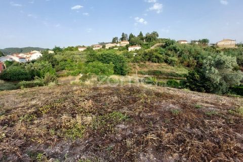 Terra a Luso, Aveiro, Luso - € 37.000 | Ref: ZMPT565933 - foto 4