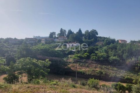 Terra a Luso, Aveiro, Luso - € 37.000 | Ref: ZMPT565933 - foto 11