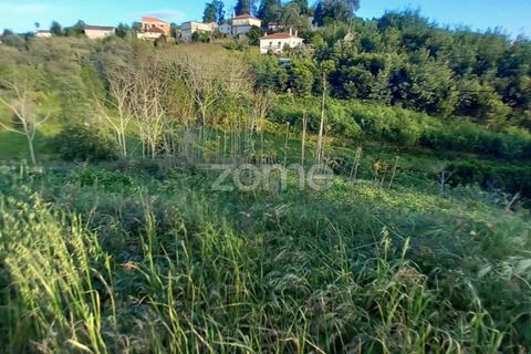 Terra a Luso, Aveiro, Luso - € 37.000 | Ref: ZMPT565933 - foto 12