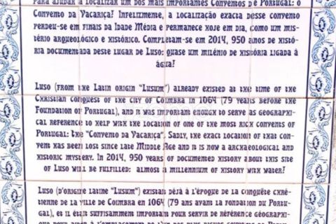 Terra a Luso, Aveiro, Luso - € 37.000 | Ref: ZMPT565933 - foto 15