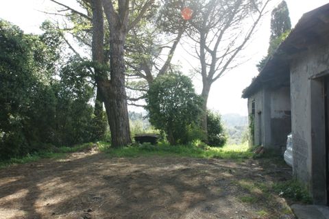 Villa a Arcola, La Spezia, Arcola - € 1.200.000 | Ref: 2877 - foto 9