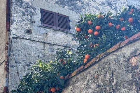 Villa a Arcola, La Spezia, Arcola - € 1.200.000 | Ref: 2877 - foto 18