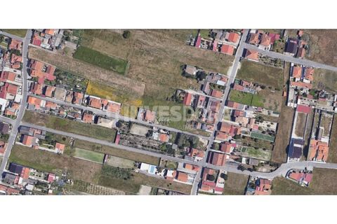 Terra a Gafanha do Carmo, Aveiro, Gafanha do Carmo - € 70.000 | Ref: SÒL_222 - foto 2