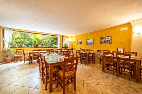 Kommersiell fastighet i Maria De La Salut, Mallorca - foto 3