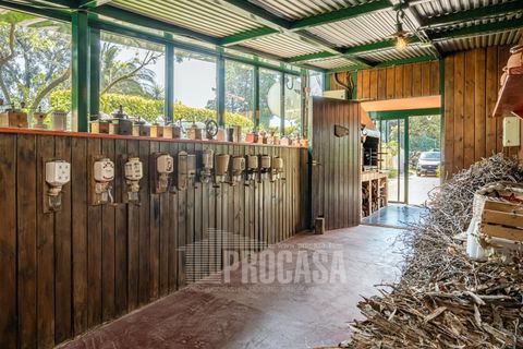 Villa a Masarac, Gerona, Masarac - € 975.000 | Ref: 3204 - foto 29
