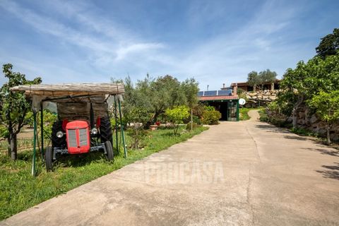Villa a Masarac, Gerona, Masarac - € 975.000 | Ref: 3204 - foto 38