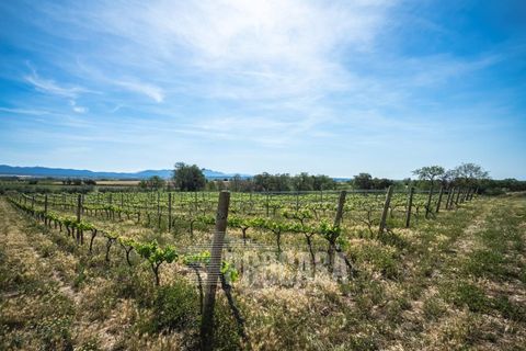 Villa a Masarac, Gerona, Masarac - € 975.000 | Ref: 3204 - foto 41