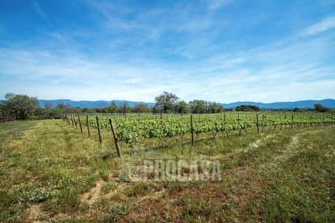 Villa a Masarac, Gerona, Masarac - € 975.000 | Ref: 3204 - foto 42