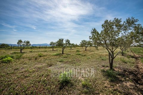 Villa a Masarac, Gerona, Masarac - € 975.000 | Ref: 3204 - foto 43
