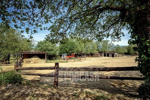 Villa a Masarac, Gerona, Masarac - € 975.000 | Ref: 3204 - foto 45