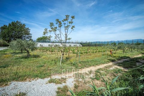 Villa a Masarac, Gerona, Masarac - € 975.000 | Ref: 3204 - foto 46