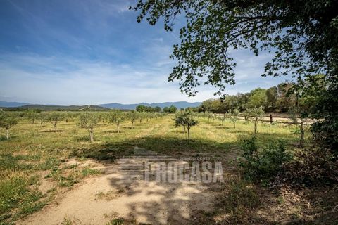 Villa a Masarac, Gerona, Masarac - € 975.000 | Ref: 3204 - foto 47