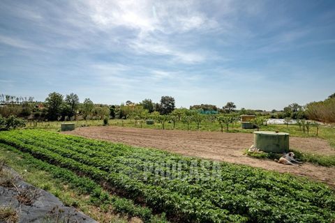 Villa a Masarac, Gerona, Masarac - € 975.000 | Ref: 3204 - foto 48