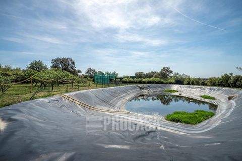 Villa a Masarac, Gerona, Masarac - € 975.000 | Ref: 3204 - foto 49
