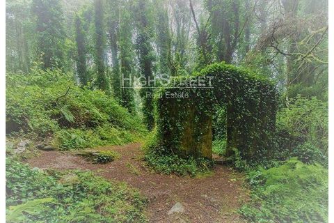 Helårsgrund i Sintra, Lisbon, Sintra - € 500.000 | Ref: 4384 - foto 30