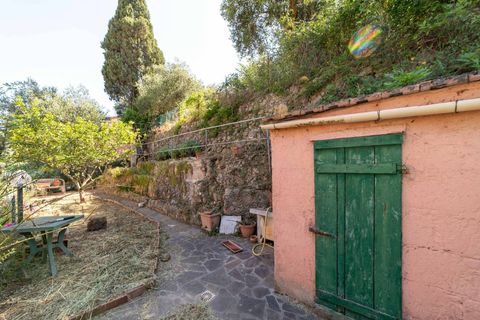 Leilighet i Monte Argentario, Grosseto, Monte Argentario - € 290 000 | Ref: CBI007-18-30410 - foto 18