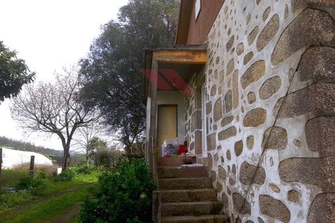 Villa i Ponte de Lima, Viana do Castelo, Ponte de Lima - € 295.000 | Ref: PTL-1171-EF-0424 - foto 4