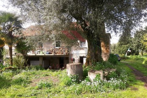 Villa i Ponte de Lima, Viana do Castelo, Ponte de Lima - € 295.000 | Ref: PTL-1171-EF-0424 - foto 5