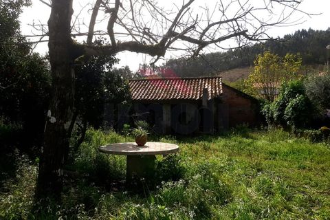 Villa i Ponte de Lima, Viana do Castelo, Ponte de Lima - € 295.000 | Ref: PTL-1171-EF-0424 - foto 7