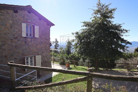 Villa i Lucca, Lucca, Lucca - € 800.000 | Ref: IA03822 - foto 4