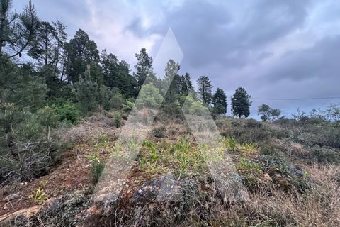 Helårsgrund i Assafarge e Antanhol, Coimbra, Assafarge e Antanhol - € 80.000 | Ref: 1130880/24 LR - foto 7