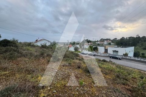 Helårsgrund i Assafarge e Antanhol, Coimbra, Assafarge e Antanhol - € 80.000 | Ref: 1130880/24 LR - foto 9