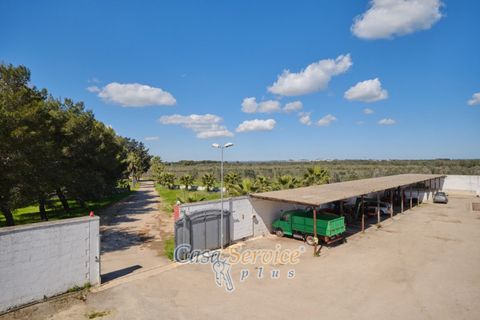 Villa a Oria, Brindisi, Oria - € 2.600.000 | Ref: OSA-00 - foto 26