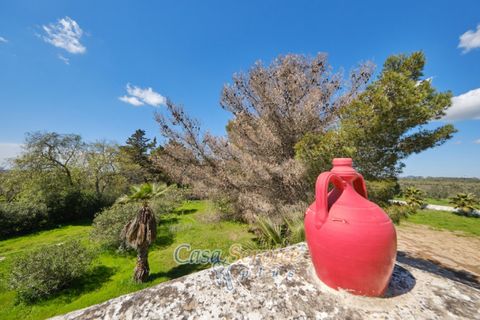 Villa a Oria, Brindisi, Oria - € 2.600.000 | Ref: OSA-00 - foto 29